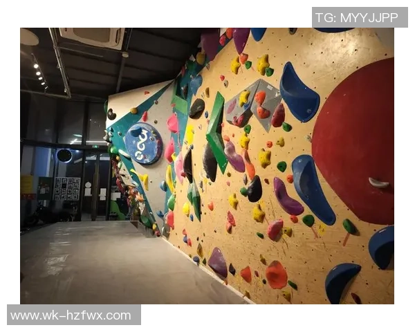 攀岩之巅：深入了解上海攀岩队的比赛技巧与经验分享