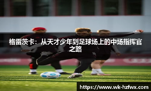 威廉希尔williamhill官网